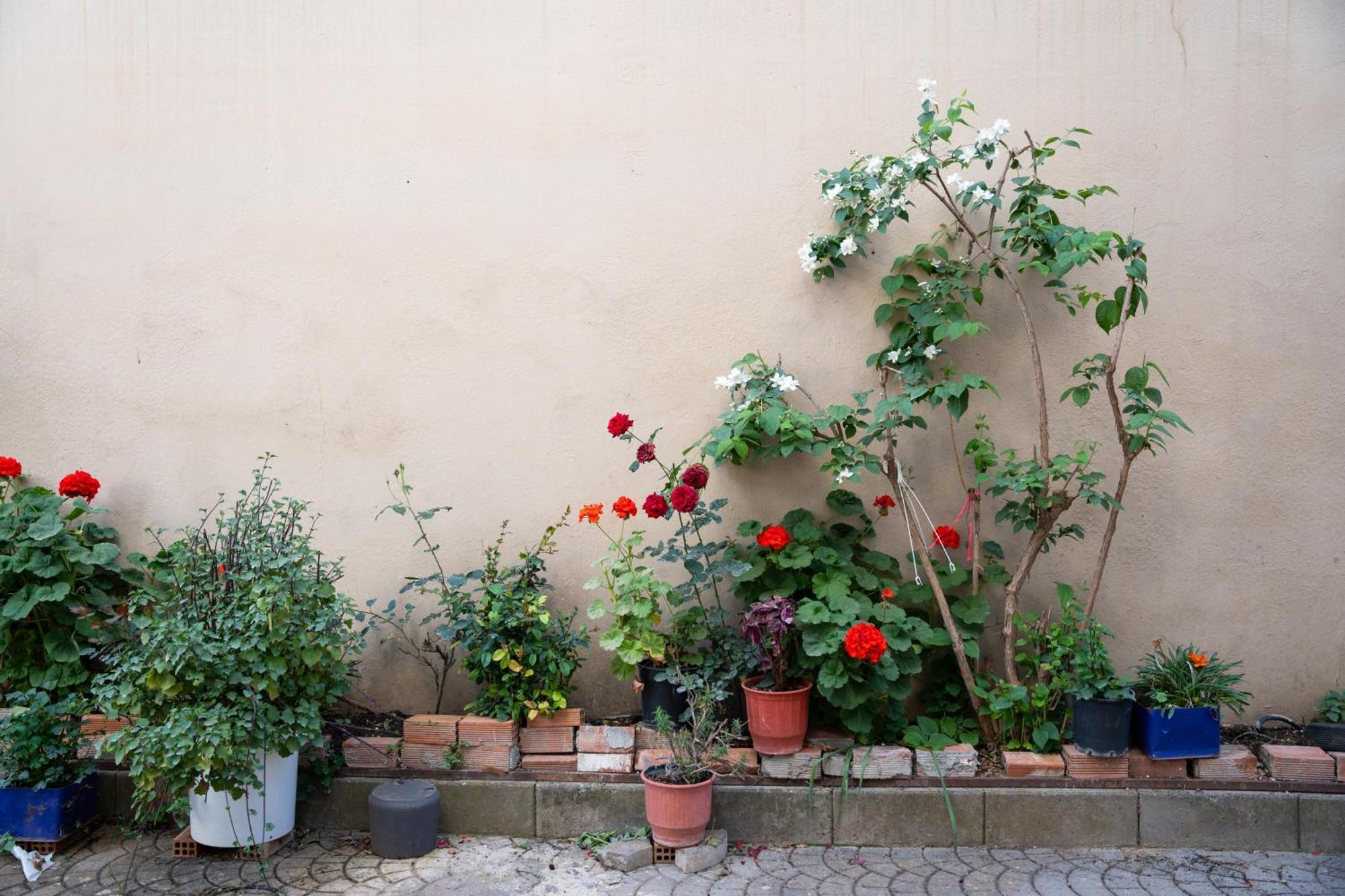 Nyx Guesthouse Tripoli Exterior photo
